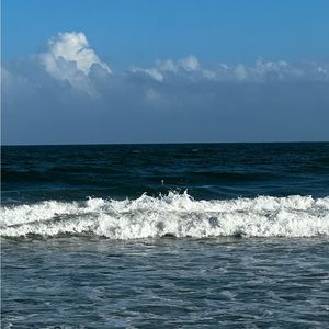 Meet your Posher, Chellie